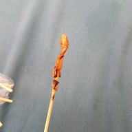 หมูปิ้งกะทิสดสูตรโบราณ พฤกษา3