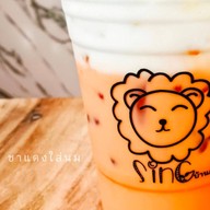 สิงห์บ้านสวน บ้านคลอง