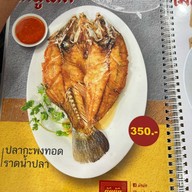 ผัดผัด ผัดผัด สาขาพลายชุมพล