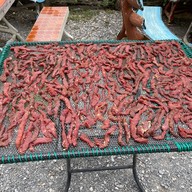 ลาบเป็ดอุดร @ ทุ่งเสลี่ยม