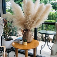 Reef Cafe' no.9 ร้านกาแฟ & เค้กอร่อย รีฟ คาเฟ่ นัมเบอร์ไนน์