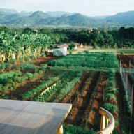Wenzel Organic Farm