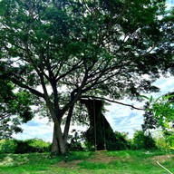 บรรยากาศ เย็นซุ้ยส์ วิลเลจ บ้านถวาย