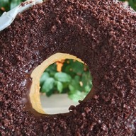 Daily Donuts สาขาตลิ่งชัน สาขา1