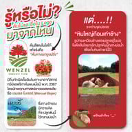 Wenzel Organic Farm