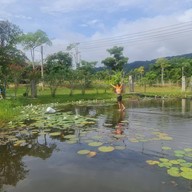 ภูธาราฟ้า