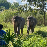 Four Seasons Tented Camp Golden Triangle
