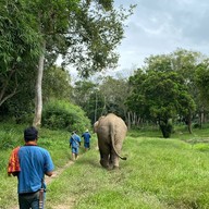 Four Seasons Tented Camp Golden Triangle