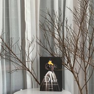YOUNG cafe -