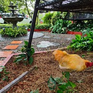 บรรยากาศ Secret Space