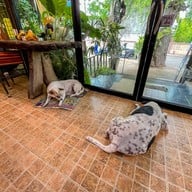 Flower Blue Coffee & Bistro