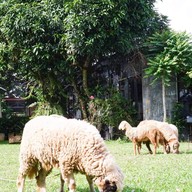 บรรยากาศ บ้านไม้ปลายเมฆ