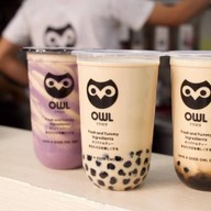 อาวน์ชา OWL CHA SINGBURI สาขา สิงห์บุรี เมืองสิงห์