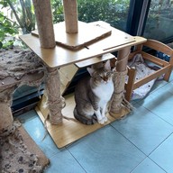 Nip Cafe  พหลโยธิน 2/1