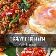 กะเพราต้นสน