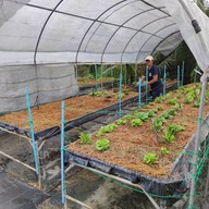 บรรยากาศ 456 Farm Café