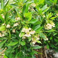 บรรยากาศ 456 Farm Café