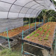 บรรยากาศ 456 Farm Café