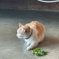 Hi There Cafe รามอินทรา 31
