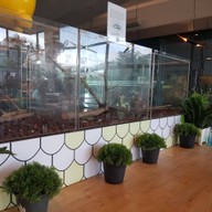 Snake Café