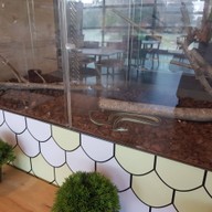 Snake Café