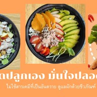 บ้านผักสลัดโรล by 75house