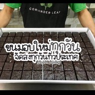 นั่งเพลิน