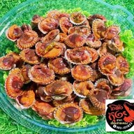 โกดังกุ้ง สาขาลำตะคอง ลำตะคอง