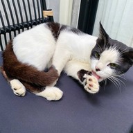 แบล็คเฮาส์คาเฟ่ (BLACK HOUSE CAFE)