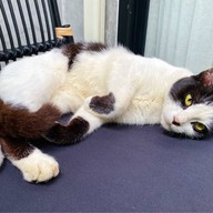 แบล็คเฮาส์คาเฟ่ (BLACK HOUSE CAFE)