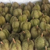 ZINEZINE  ONLINE (ทุเรียน  ผลไม้ )