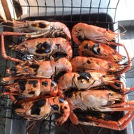 เฮงกุ้งเป็น (ดรีมแลนด์)