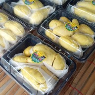 พัชรีทุเรียนซิ่ง (เบิกไพร)