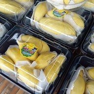 พัชรีทุเรียนซิ่ง (เบิกไพร)