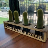 Romsai Cactus & Coffee