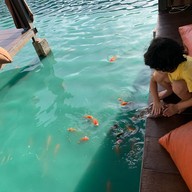 เดอะริช คาเฟ่