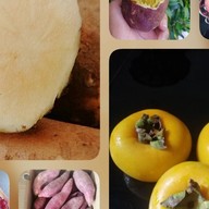 ผลไม้ เกื้อหนุน