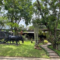 หนวดเตี๋ยวเนื้อ -