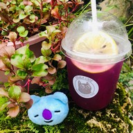 De Wila Cat hotel & cafe