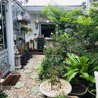 De Wila Cat hotel & cafe