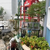 De Wila Cat hotel & cafe