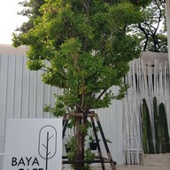 บรรยากาศ Baya'cafe ถนนเลียบทางด่วนพุทธบูชา