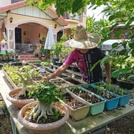 บรรยากาศ ก๋วยเตี๋ยวต้มยำบ้านตาฟอม