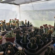 บรรยากาศ ก๋วยเตี๋ยวต้มยำบ้านตาฟอม