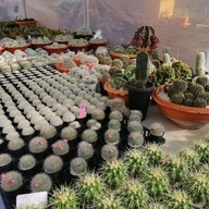 บรรยากาศ ก๋วยเตี๋ยวต้มยำบ้านตาฟอม