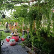 บรรยากาศ ก๋วยเตี๋ยวต้มยำบ้านตาฟอม