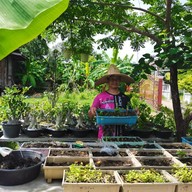 บรรยากาศ ก๋วยเตี๋ยวต้มยำบ้านตาฟอม