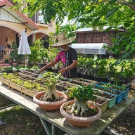 บรรยากาศ ก๋วยเตี๋ยวต้มยำบ้านตาฟอม