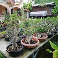 บรรยากาศ ก๋วยเตี๋ยวต้มยำบ้านตาฟอม