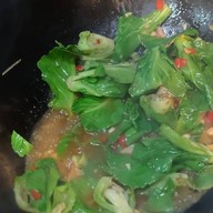 ข้าวต้ม มือสมัครเล่น นครปฐม